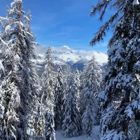Le Rhododendron La Plagne-Tarentaise