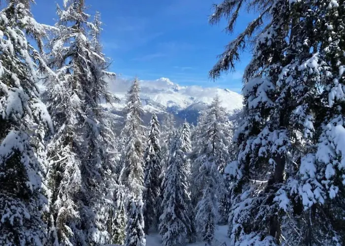 Appartement Le Rhododendron