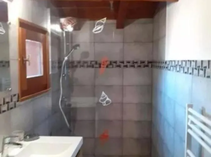 Appartement Le Rhododendron *