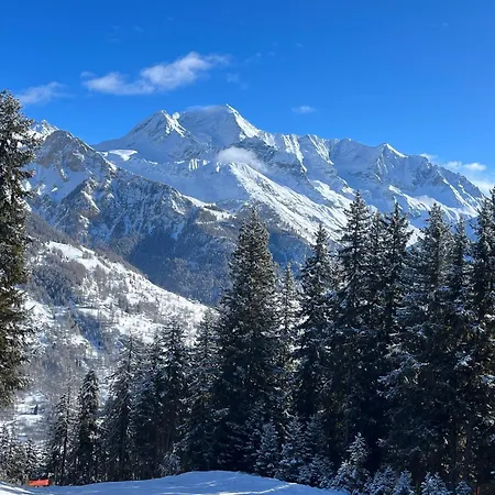 Le Rhododendron La Plagne-Tarentaise